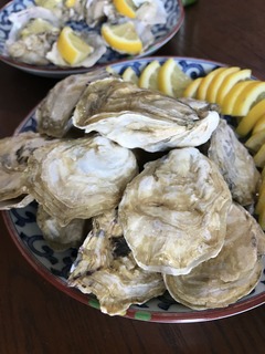 IMG_1790.JPG