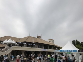 IMG_1818.JPG