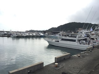 IMG_3820.JPG