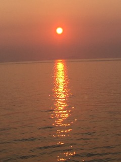 IMG_4246.JPG