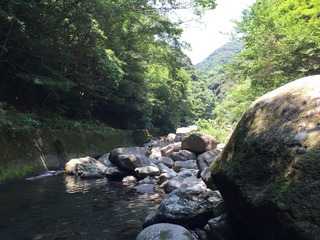 IMG_4278.JPG