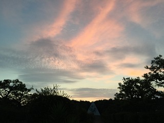 IMG_4340.JPG