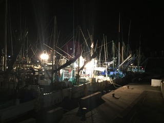 IMG_4810.JPG