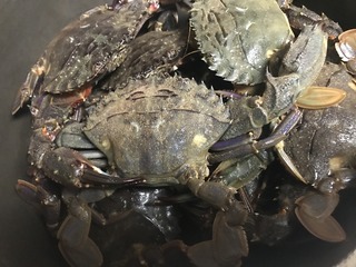 IMG_5849.JPG