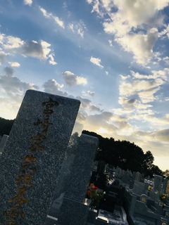 IMG_E8025.JPG